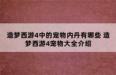 造梦西游4中的宠物内丹有哪些 造梦西游4宠物大全介绍